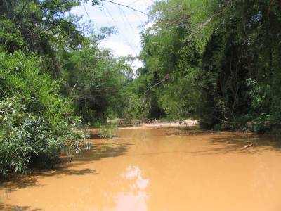 La rivière couleur un peu terre 